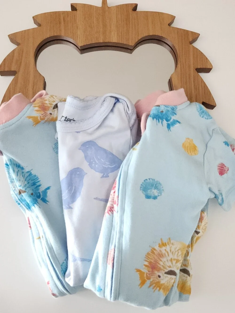 12M Onesies 3 Pack Carter's And Burt's Bees Baby